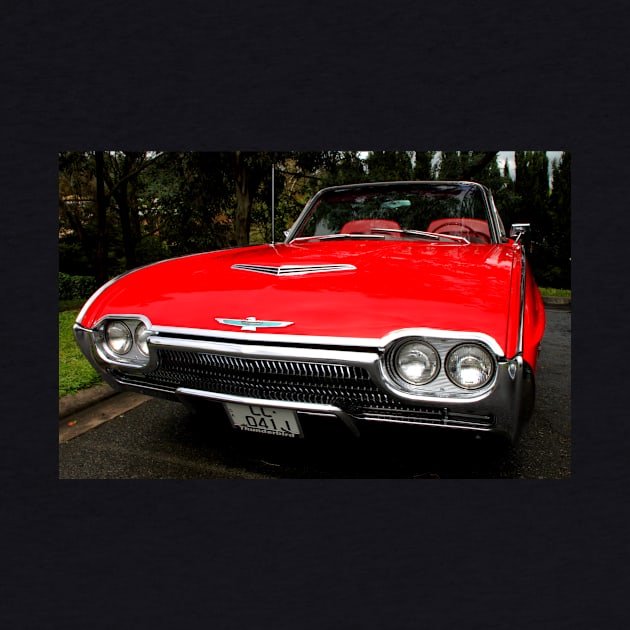 Ford Thunderbird 1963 Model by Carole-Anne